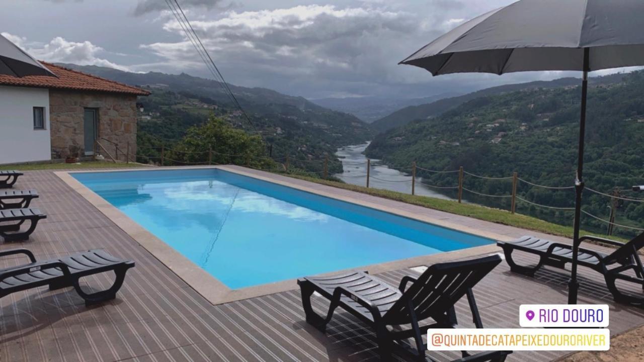 Quinta De Catapeixe Douro River Magrelos Екстериор снимка