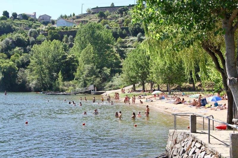 Quinta De Catapeixe Douro River Magrelos Екстериор снимка
