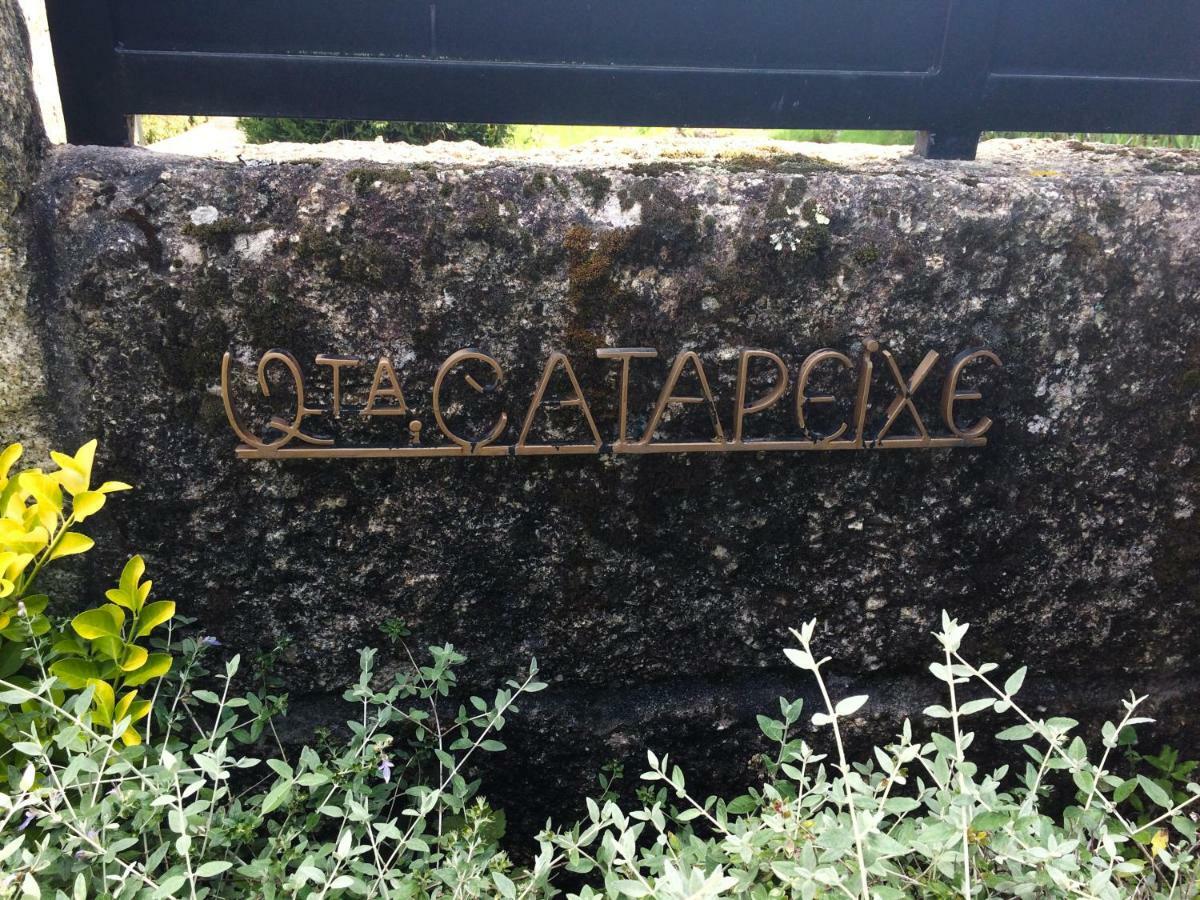 Quinta De Catapeixe Douro River Magrelos Екстериор снимка